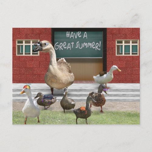 Schools Out Little Ducklings with Teacher Goose Postcard