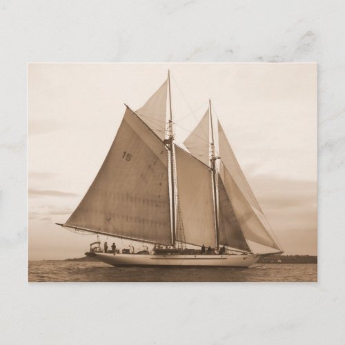 Schooner Adventures Postcard