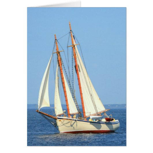 Schooner American Eagle sailing Cards (Front)