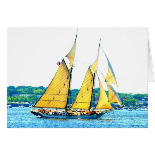 Schooner racing cards (Front Horizontal)