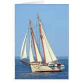 schooner sailing (Front)