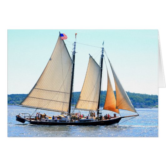 Schooner sailing off Maine Cards (Front Horizontal)