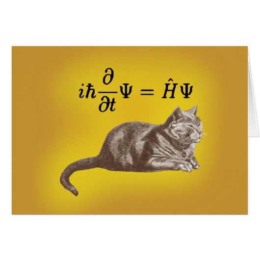 Schrodinger cat cards (Front Horizontal)