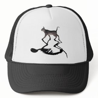 Schrodinger Cat Hat