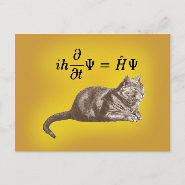 Schrodinger cat postcard (Front)