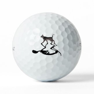 Schrodinger Cat Titliest Pro 3-pack Golf Balls