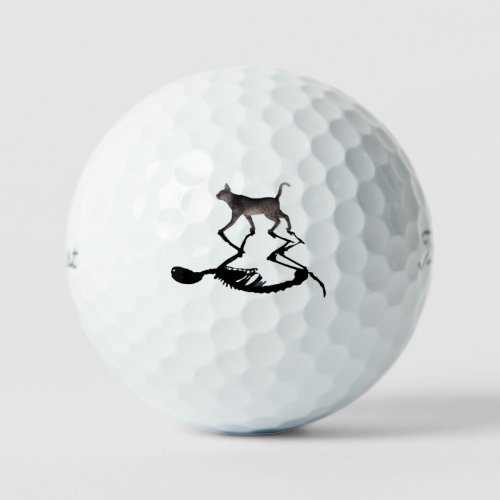 Schrodinger Cat Titliest Pro 3_pack  Golf Balls