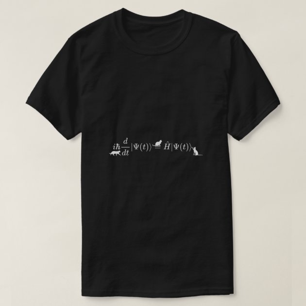 Schrodinger cats math physics formula equation T Shirt Zazzle