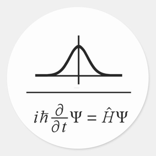 Schrdinger Equation Classic Round Sticker