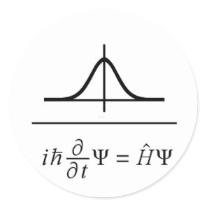 Schrödinger Equation Classic Round Sticker