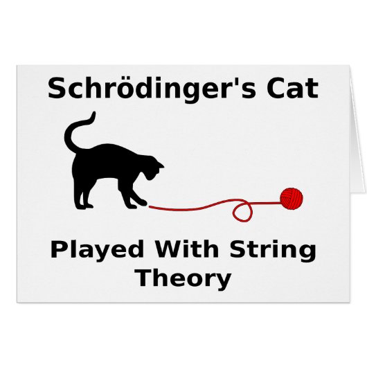 Schrödinger’s Cat Played With String Theory Cards (Front Horizontal)