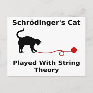 Schrödinger’s Cat Played With String Theory Postcard