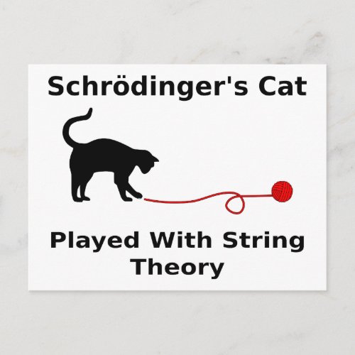 Schrdingerâs Cat Played With String Theory Postcard