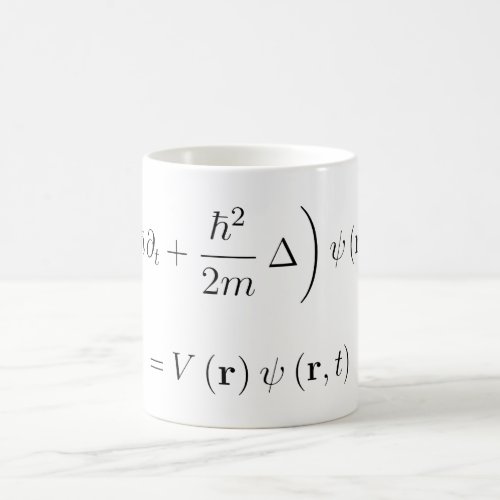 Schrodinger wave equation coffee mug