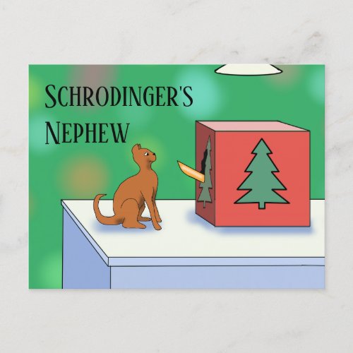 Schrodingers Cat and Nephew Christmas Postcard
