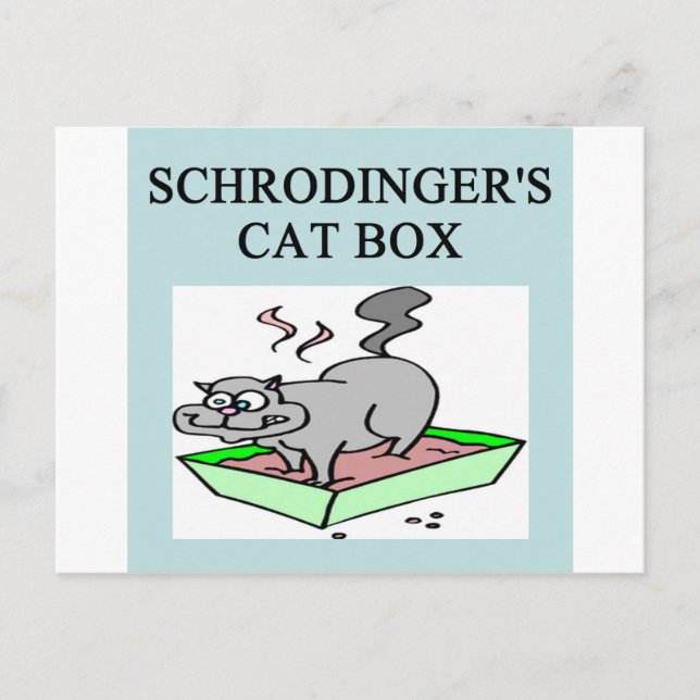 schrodinger's cat box postcard (Front)