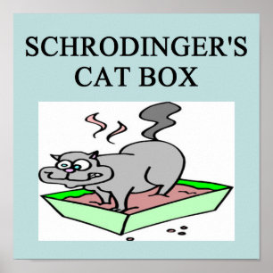 schrodinger's cat box poster
