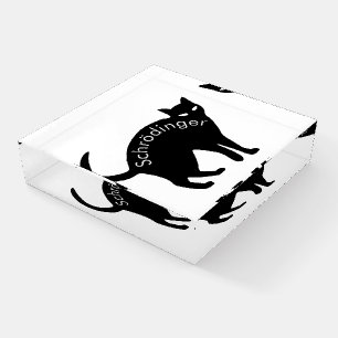 Schrödinger's cat paperweight