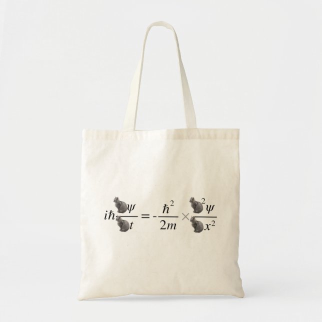 Schrodinger's cat tote bag (Front)