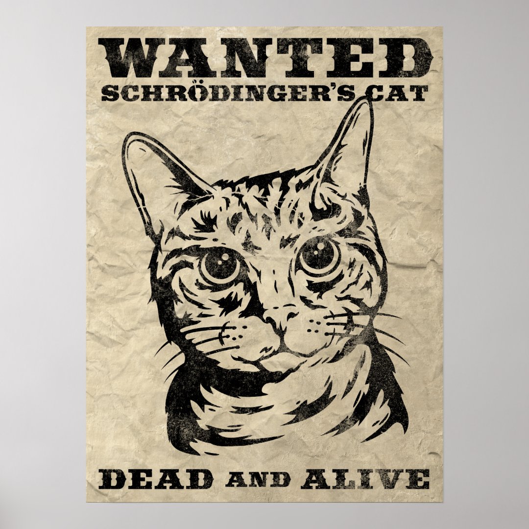 Schrodinger's cat wanted dead or alive poster | Zazzle