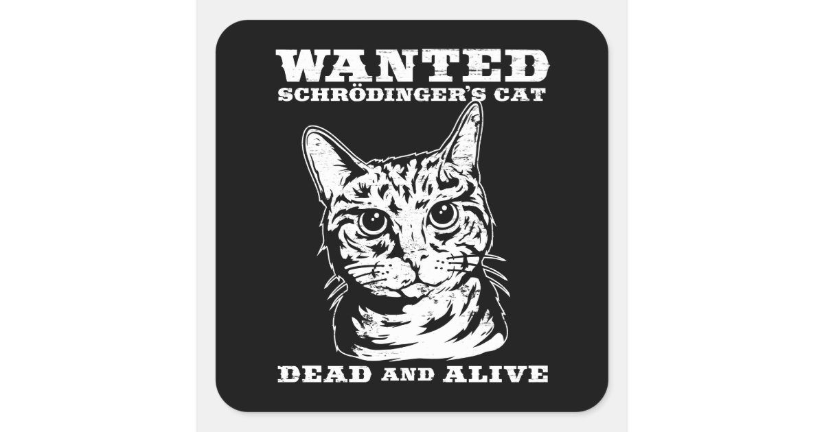 Schrodinger's cat wanted dead or alive square sticker | Zazzle
