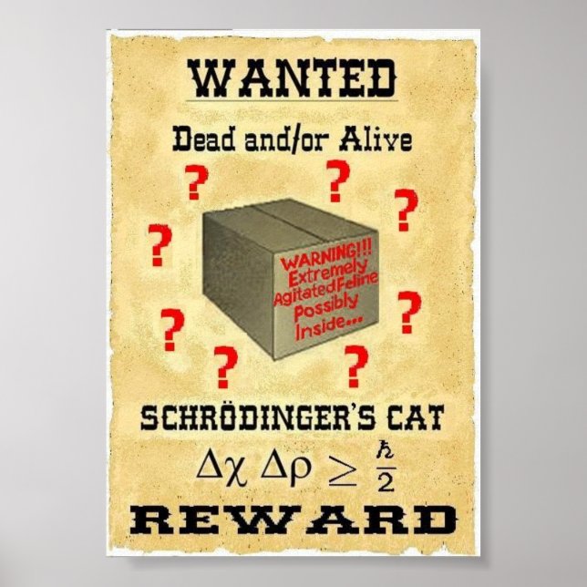 Schrodinger's Cat Wanted Poster (Front)