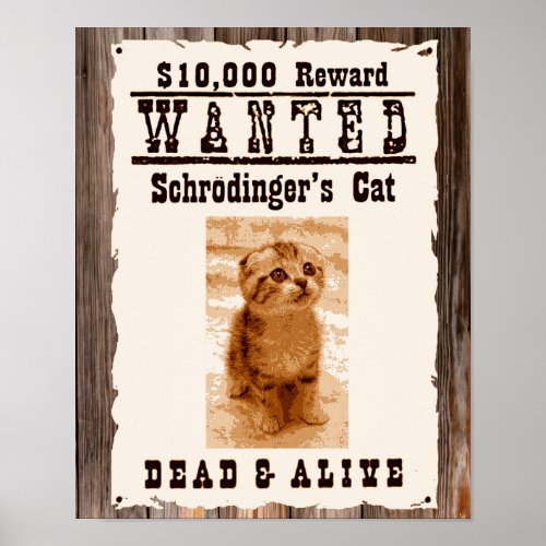 Schrodingers cat wanted poster