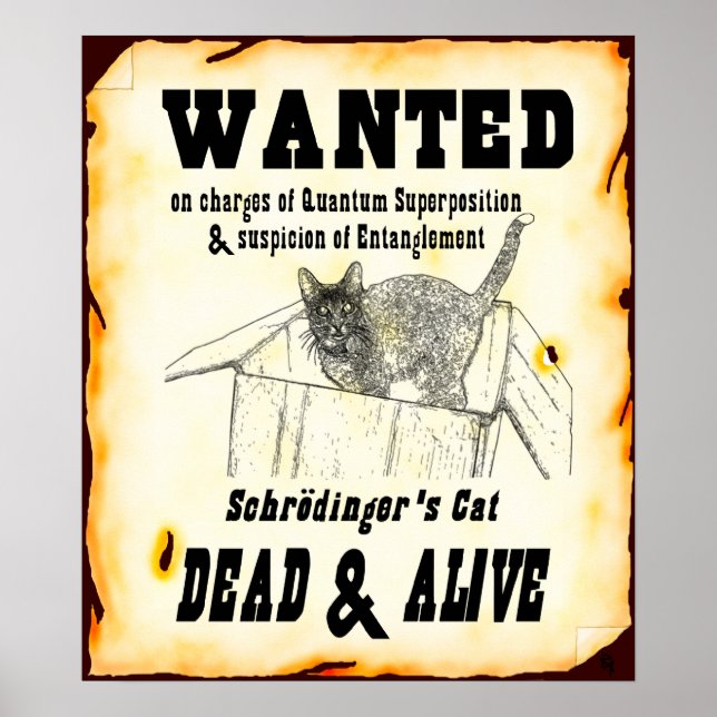 Schrodinger's Cat "Wanted" Poster (Front)