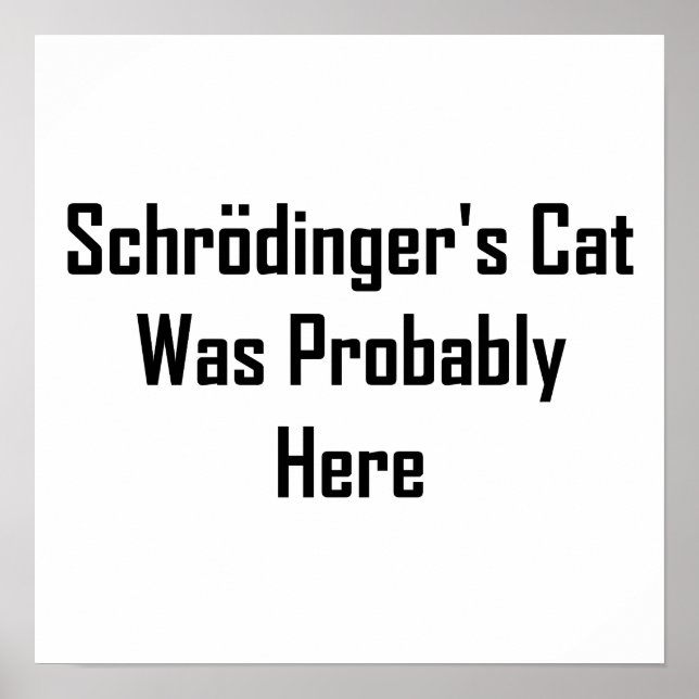 Schrodinger's Cat Was Probably Here Poster (Front)