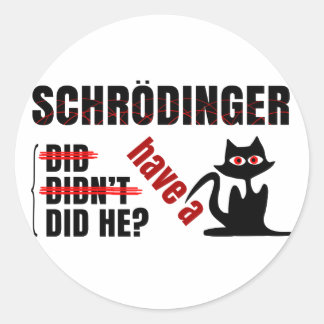 Schrodinger's Dillema Classic Round Sticker