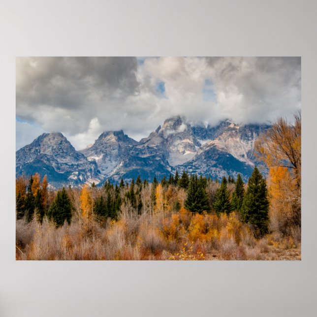 Schwabacher Landing Grand Teton National Park Poster (Front)