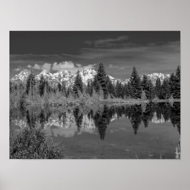 Schwabacher Landing Poster (Front)