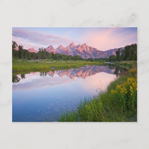 Schwabacher Landing Sunrise Postcard