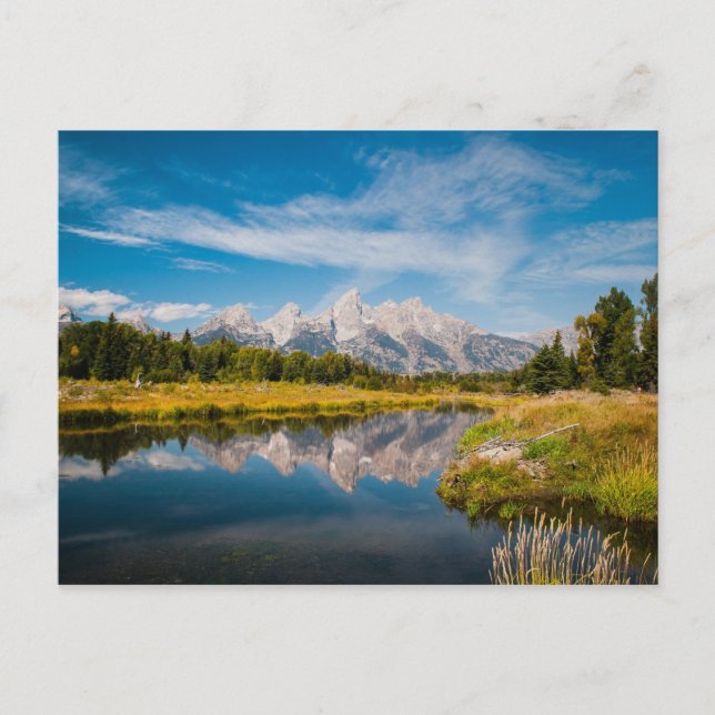 Schwabacher's Landing in Grand Teton National Park Postcard (Front)