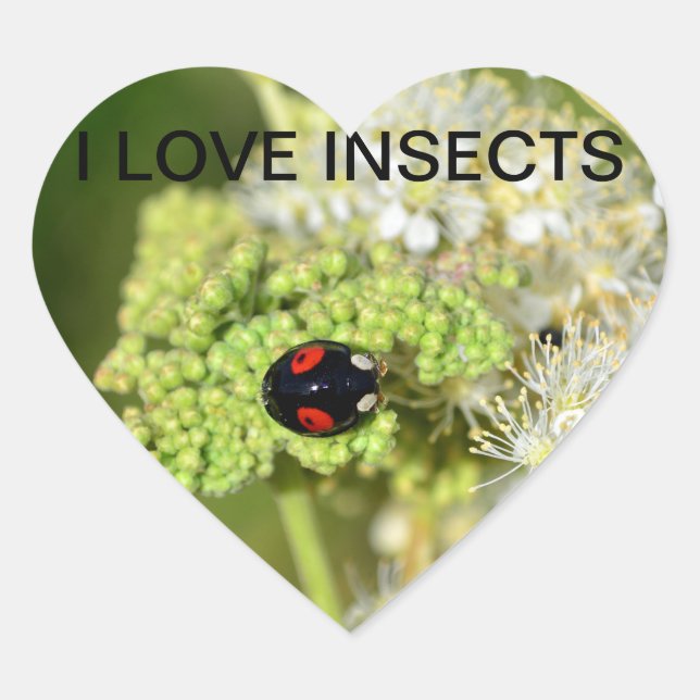 Schwarzer  Marienkäfer Heart Sticker (Front)