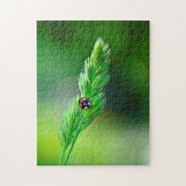 Schwarzer Marienkäfer unterwegs.... Jigsaw Puzzle (Vertical)