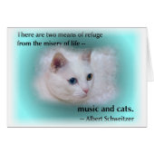 Schweitzer's Cat (Front Horizontal)