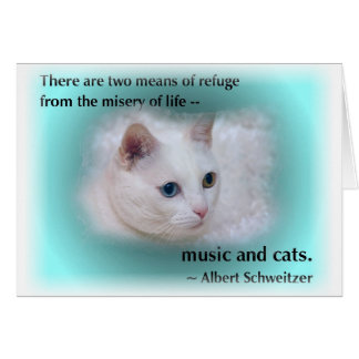 Schweitzer's Cat Cards