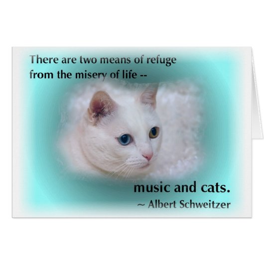 Schweitzer's Cat Cards (Front Horizontal)