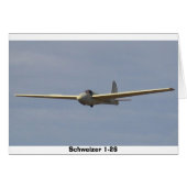 Schweizer 1-26 (Front Horizontal)