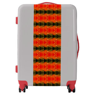 Sci-Fi fantasy alien space planet worlds Luggage