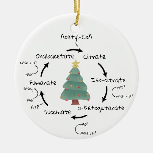 Science Biology Krebs Cycle Christmas Teacher Ceramic Ornament