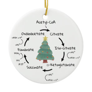 Science Biology Kreb's Cycle Christmas Teacher     Ceramic Ornament