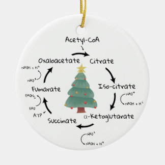 Science Biology Kreb's Cycle Christmas Teacher Ceramic Ornament