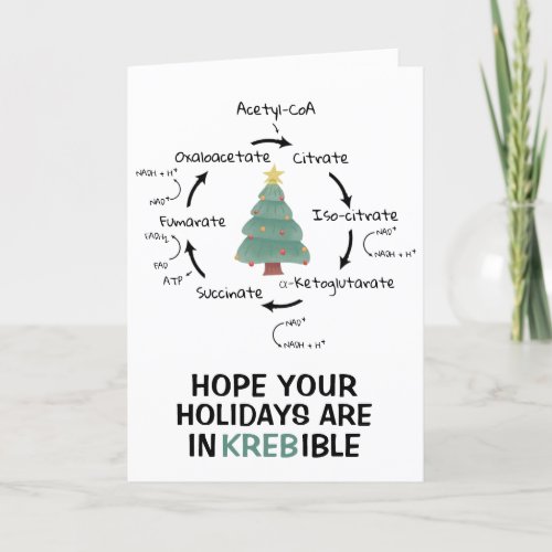 Science Biology Krebs Cycle Christmas Teacher Fun Holiday Card