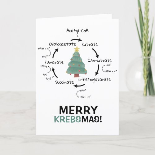 Science Biology Krebs Cycle Christmas Teacher  Holiday Card