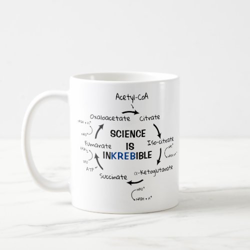 Science Biology Krebs Cycle Funny Teacher Coffee Mug