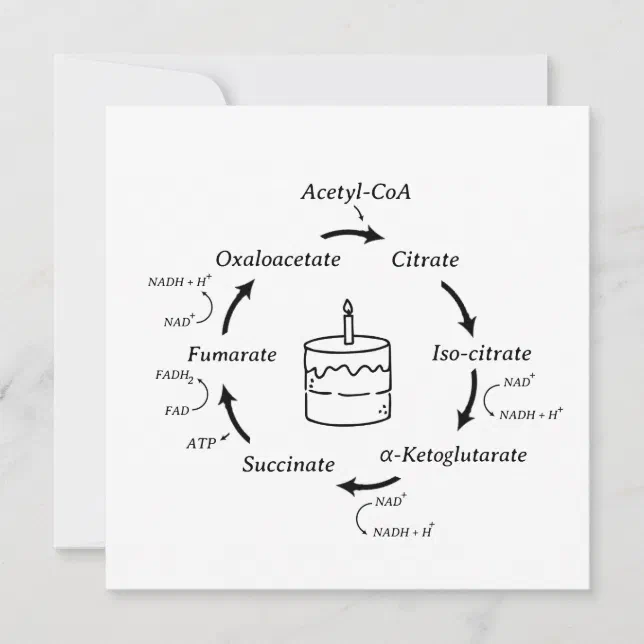 Science Birthday Kreb's Cycle Biology Cake Teacher Zazzle