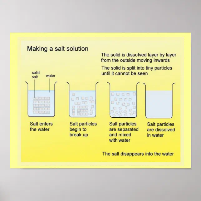 Solution Science Salt Science, Chemistry, Making a salt solution Poster | Zazzle