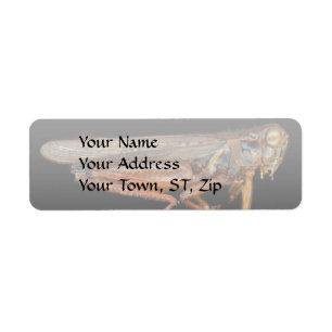 Science - Entomology - The specimin Label